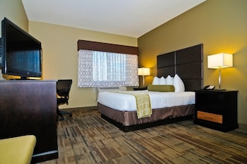 Standard Room, 1 Queen Bed, Accessible, Non Smoking (Walk-in Shower)