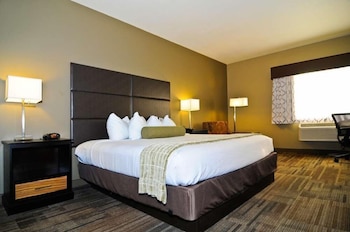 Standard Room, 1 King Bed, Non Smoking, Refrigerator & Microwave