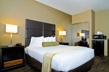 Standard Room, 1 Queen Bed, Accessible, Non Smoking (Walk-in Shower)