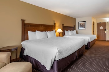 Standard Room, Multiple Beds, Non Smoking, Refrigerator & Microwave (with Sofabed)