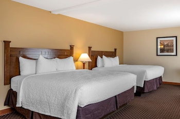 Standard Room, Multiple Beds, Non Smoking, Refrigerator & Microwave (with Sofabed)
