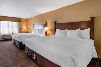 Standard Room, Multiple Beds, Non Smoking, Refrigerator & Microwave (with Sofabed)