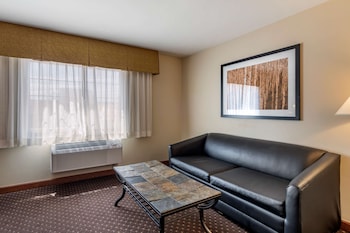 Standard Room, Multiple Beds, Non Smoking, Refrigerator & Microwave (with Sofabed)