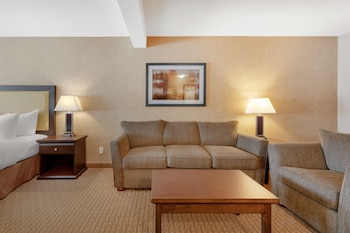 Standard Room, 1 King Bed, Non Smoking, Refrigerator & Microwave (Walk-in Shower)