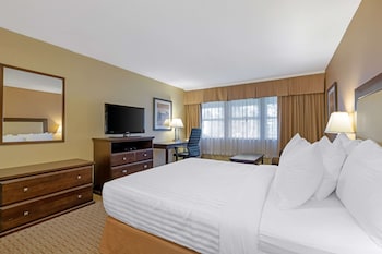 Standard Room, 1 Queen Bed, Accessible, Refrigerator & Microwave (Walk-in Shower)