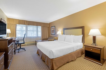 Standard Room, 1 Queen Bed, Accessible, Refrigerator & Microwave (Walk-in Shower)