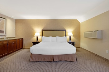 Standard Room, 1 King Bed, Non Smoking, Refrigerator & Microwave