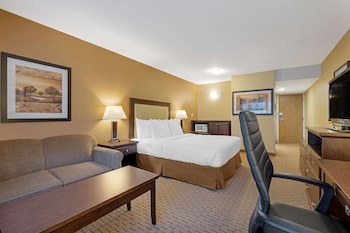 Standard Room, 1 Queen Bed, Accessible, Refrigerator & Microwave (Walk-in Shower)