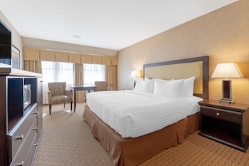 Standard Room, 1 King Bed, Non Smoking, Refrigerator & Microwave (Walk-in Shower)