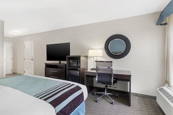 Standard Room, 1 King Bed, Accessible, Refrigerator & Microwave