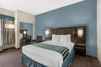 Standard Room, 1 Queen Bed, Accessible, Refrigerator & Microwave