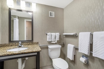 Standard Room, 1 King Bed, Accessible, Refrigerator & Microwave