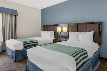 Standard Room, 2 Double Beds, Accessible, Refrigerator & Microwave