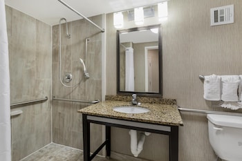 Standard Room, 1 King Bed, Accessible, Refrigerator & Microwave