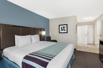 Standard Room, 1 King Bed, Accessible, Refrigerator & Microwave