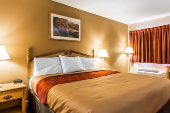 Standard Room, 1 King Bed, Smoking