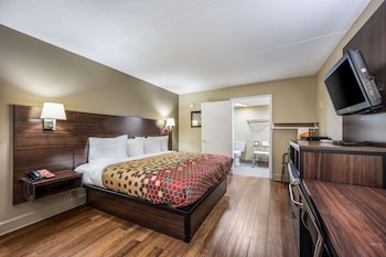 Room, 1 King Bed, Accessible, Non Smoking