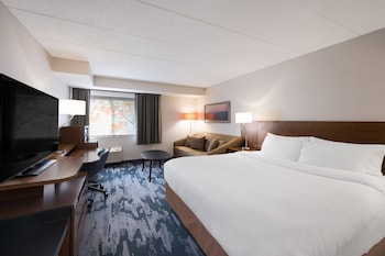 Room, 1 King Bed with Sofa bed, Hearing Accessible