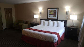 Room, 1 King Bed, Non Smoking