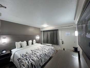 Deluxe Room, 1 King Bed (Smoke Free)