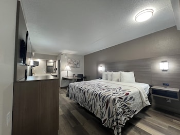 Superior Room, 1 King Bed (Smoke Free)