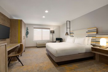 Room, 1 King Bed