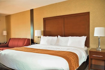 Suite, 1 King Bed with Sofa bed, Transfer Shower, Non Smoking