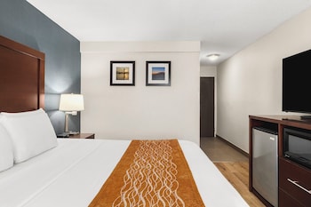 Room, 1 King Bed, Roll-In Shower, Non Smoking