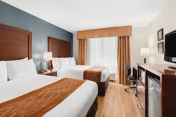 Standard Double Room, 2 Double Beds, Non Smoking