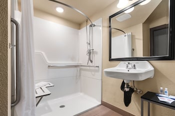 Room, 1 King Bed, Roll-In Shower, Non Smoking