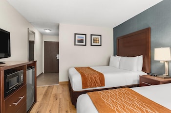 Standard Double Room, 2 Double Beds, Non Smoking