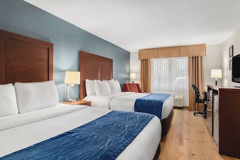 Room, 2 Queen Beds, Roll-In Shower, Non Smoking