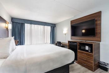 Deluxe Room, 1 King Bed, Non Smoking