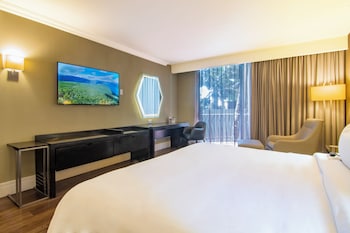 Executive Room, 1 King Bed
