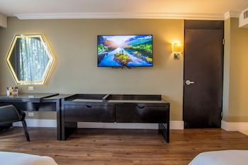 Executive Room, 2 Double Beds