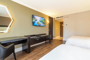 Executive Room, 2 Double Beds