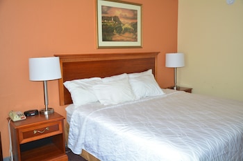 Room, 1 King Bed, Non Smoking, Jetted Tub