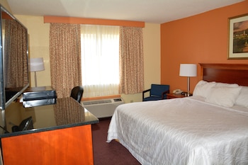 Room, 1 King Bed, Non Smoking, Jetted Tub