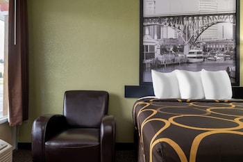 Room, 1 King Bed, Accessible, Non Smoking