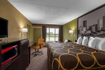 Room, 1 King Bed, Non Smoking (Dog Friendly)