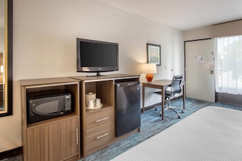 Room, 1 King Bed, Smoking
