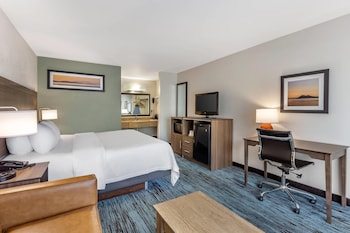 Room, 1 King Bed, Smoking