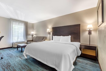 Standard Room, 1 King Bed, Non Smoking, Refrigerator
