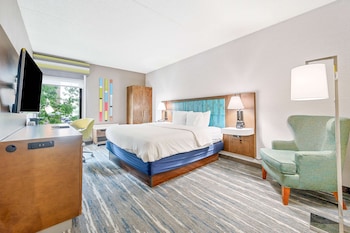 Room, 1 King Bed, Non Smoking
