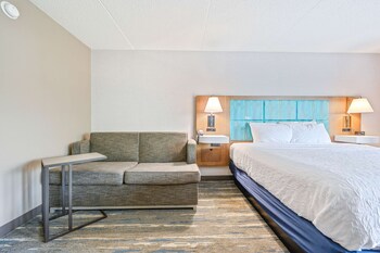 Room, 1 King Bed with Sofa bed, Non Smoking