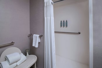 Room, 1 King Bed