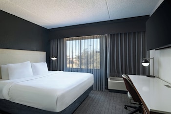 Room, 1 King Bed