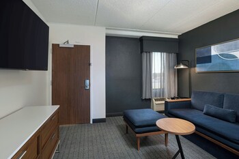 Suite, 1 King Bed with Sofa bed