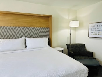 Premium Room, 1 King Bed, Accessible Bathtub (Communications, Mobility)