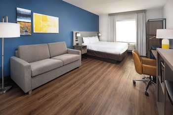 Suite, 1 King Bed with Sofa bed